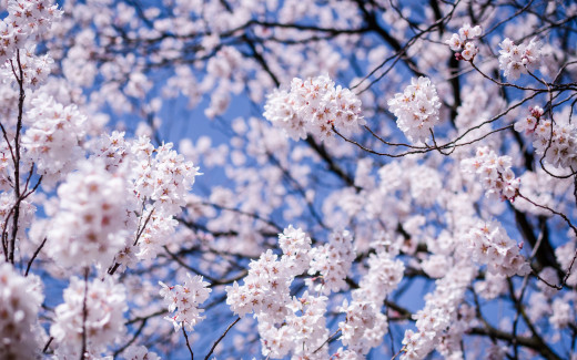 814046 (a): :1920x1200
